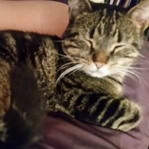 Meet your Posher, Amanda